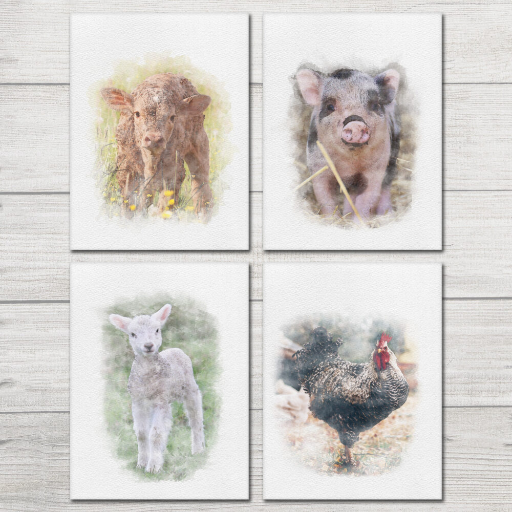 Farm Animal Art Prints 4 Set