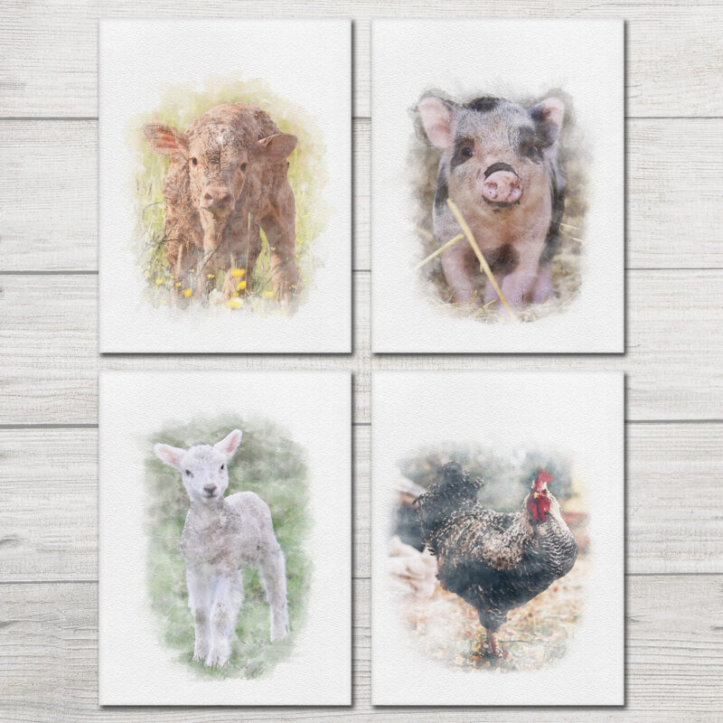 Farm Animal Art Prints A&M Natural Living