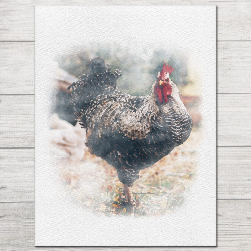 Farm Animal Art Prints - A&M Natural Living