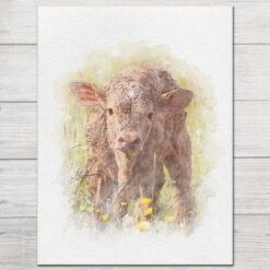 Farm Animal Art Prints 4 Set
