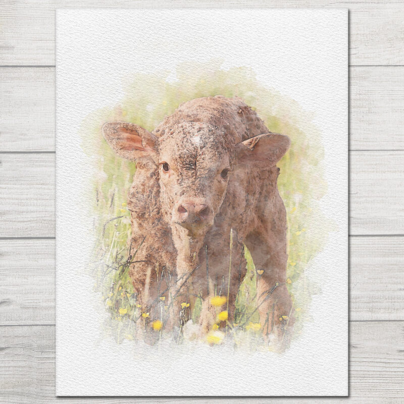 Farm Animal Art Prints A&M Natural Living