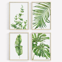 A&M Natural Living Botanical Prints In Frames