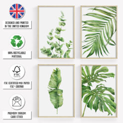Botanical Prints - Home Wall Art Posters 3