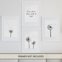 A&M Natural Living Dandelion Prints - Wall Art Multi Black & White Set Of 4 - 2