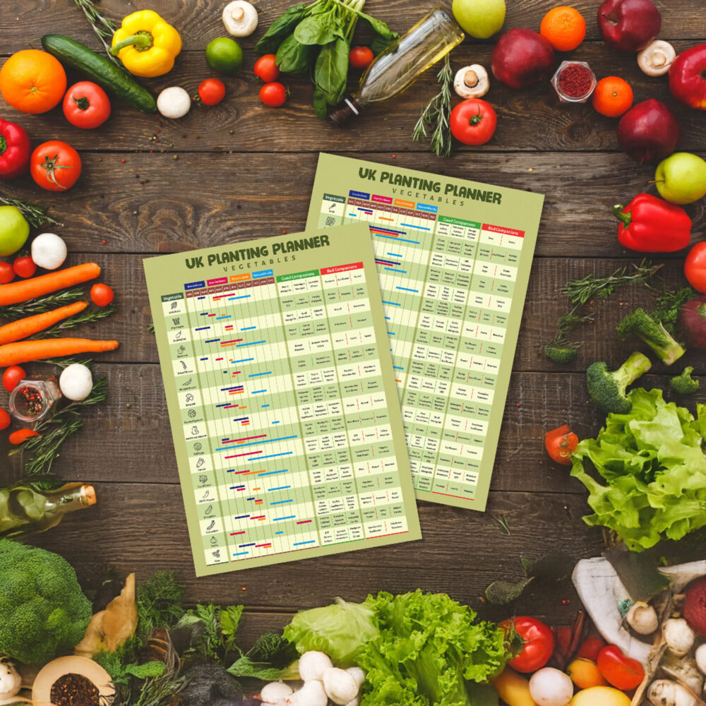 Garden Planner Grow Your Own Vegetables Calander Posters Main